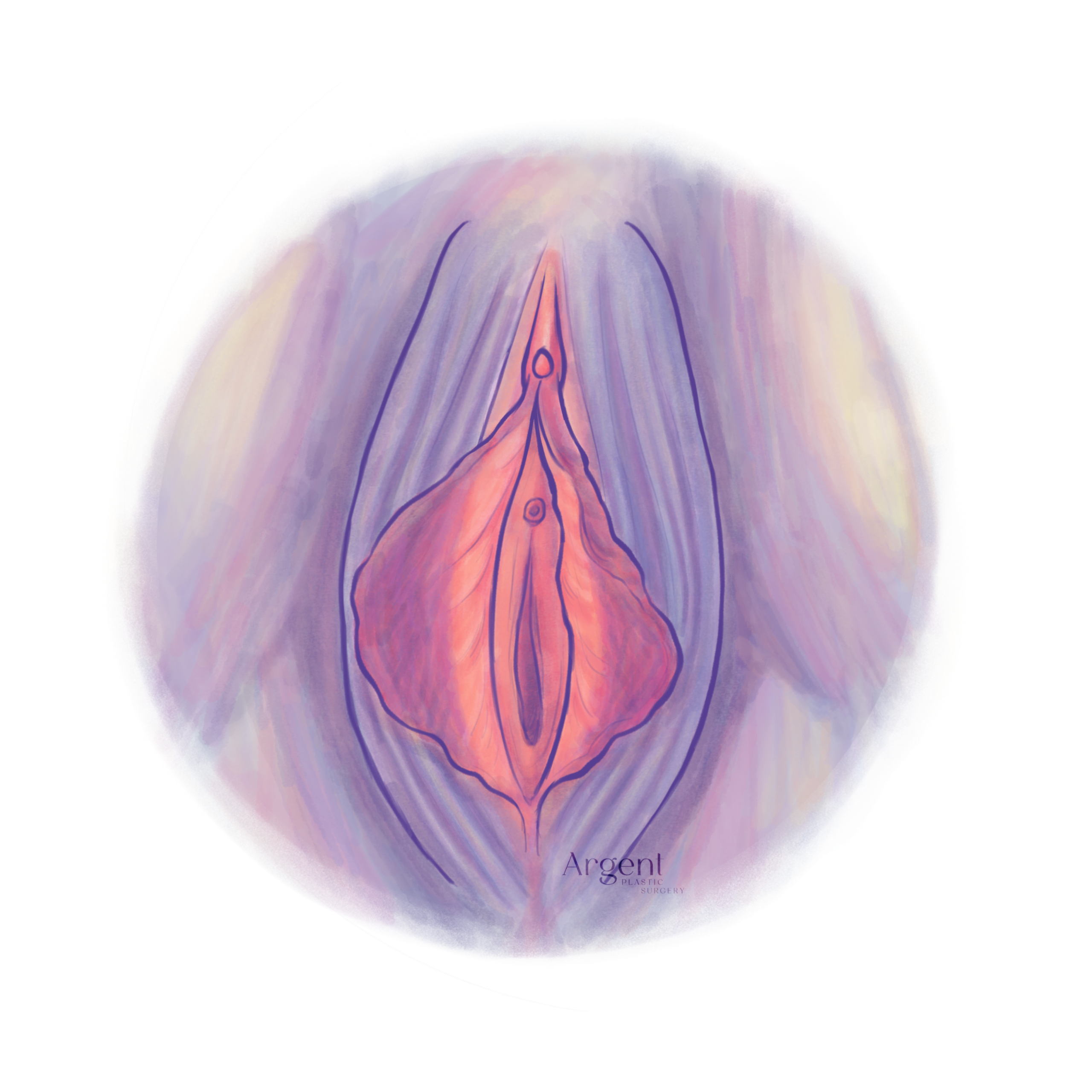 Elongated Labial Minora_No Label_Transparent